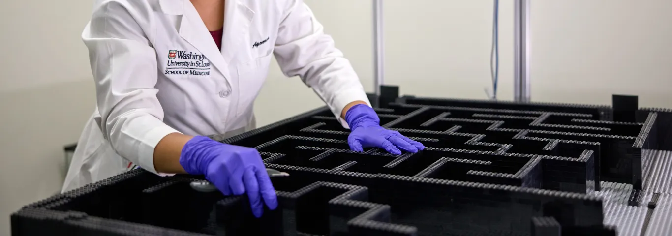 Scientist in a lab coat monitors a rat in a lego maze