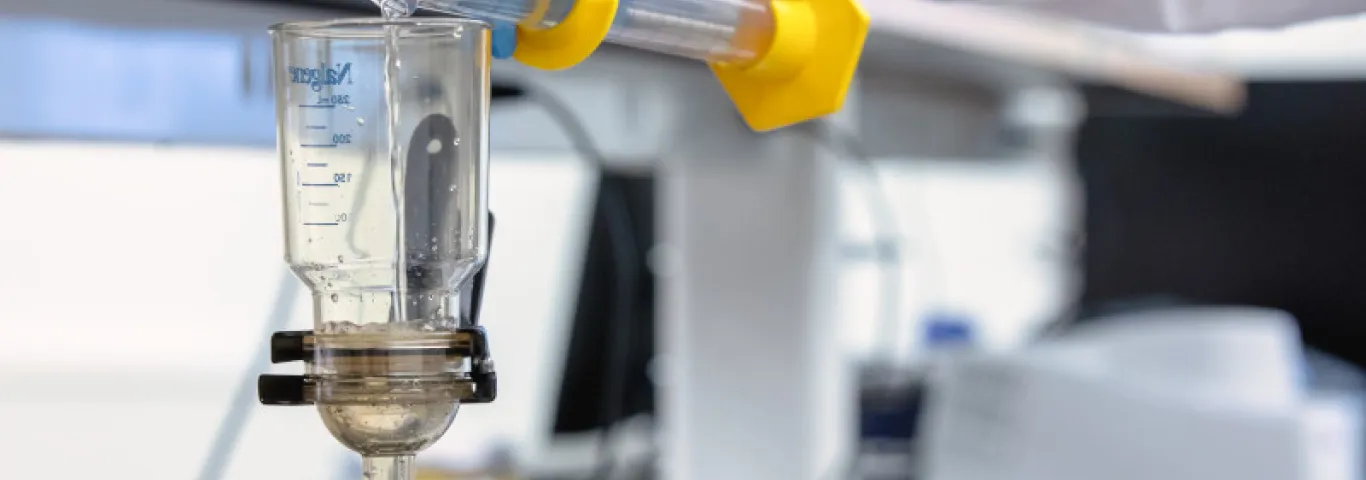Gloved hand pours liquid from one beaker into another