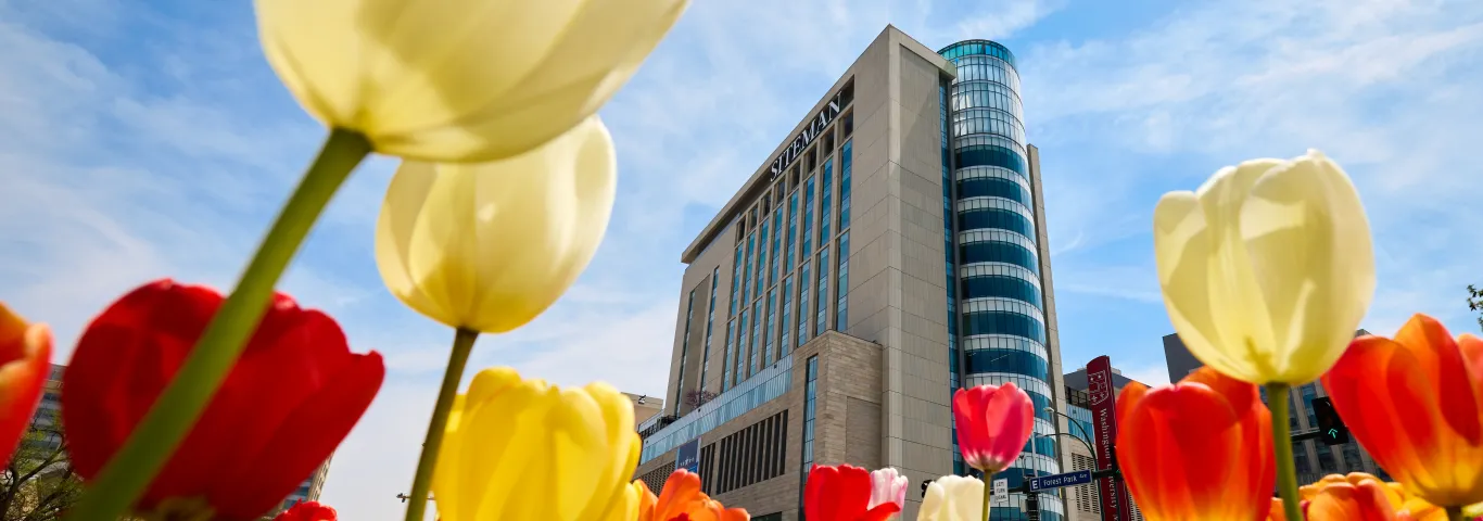 "Red and yellow tulips in the foreground, medical center in the background"