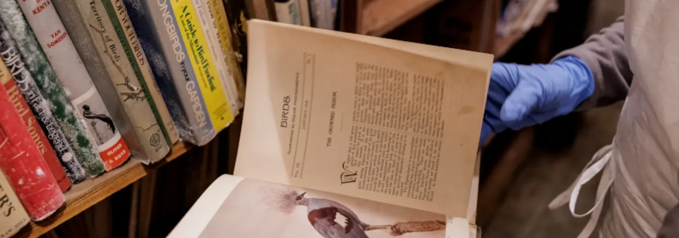 A gloved hand turns the pages of an antique book