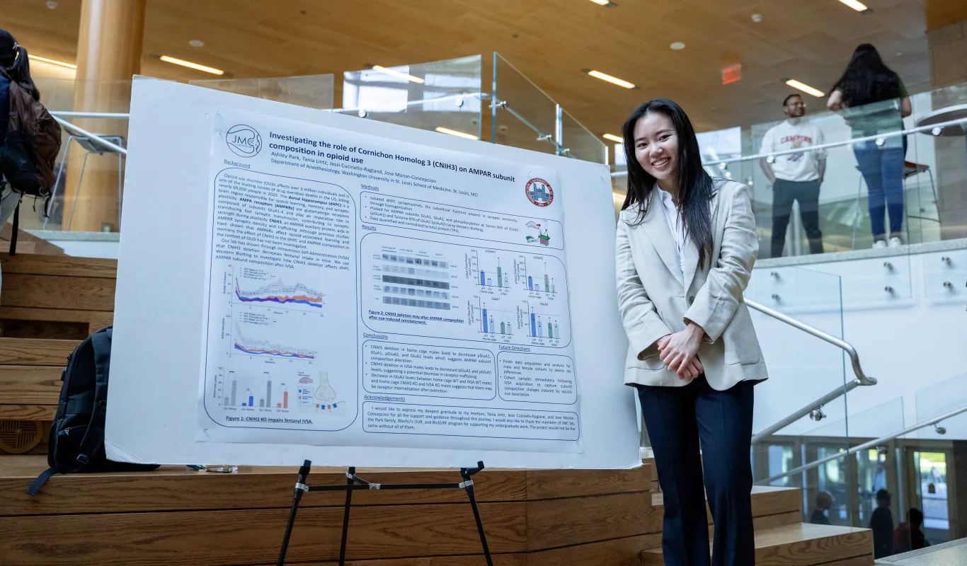 Symposium Poster Design Workshop | Office of Undergraduate Research