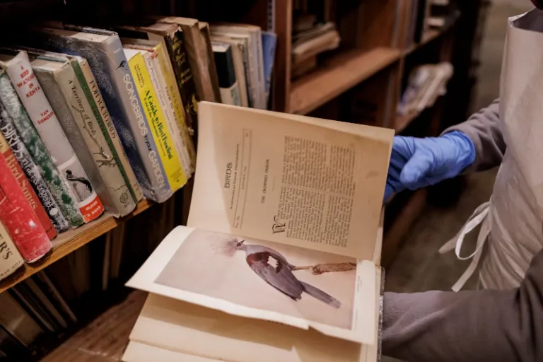 A gloved hand turns the pages of an antique book