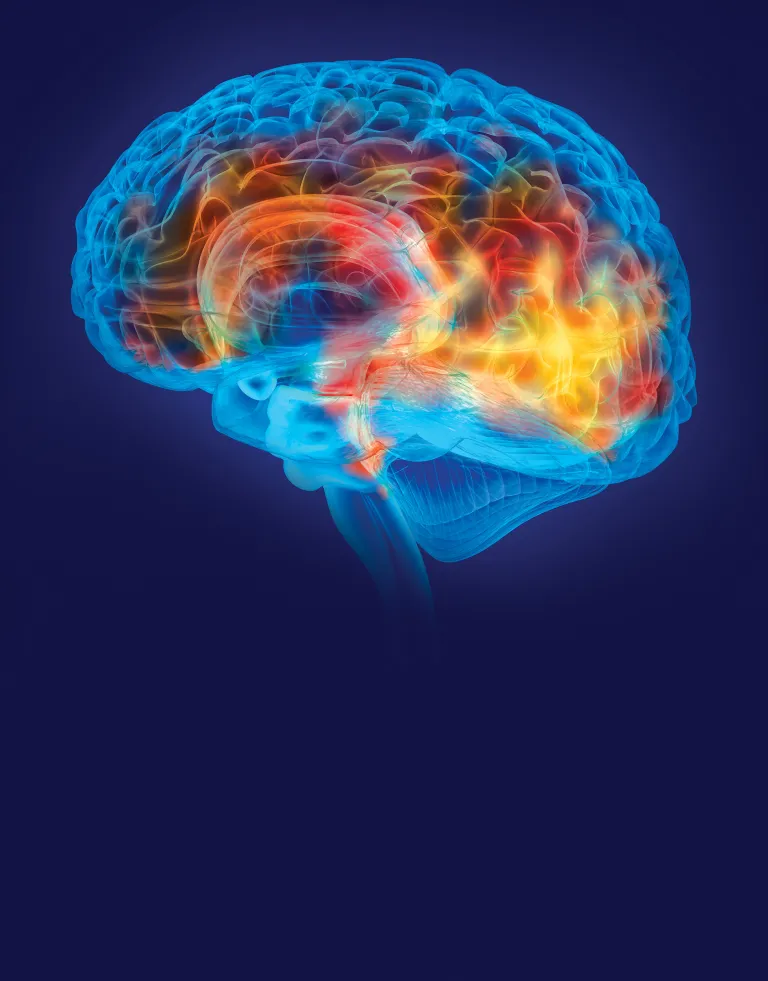 Blue, red, and yellow image of illuminated brain